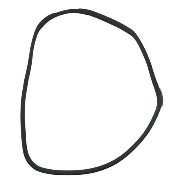 Borracha Porta Dianteiro Mercedes Benz C250 Avantgarde 2018 