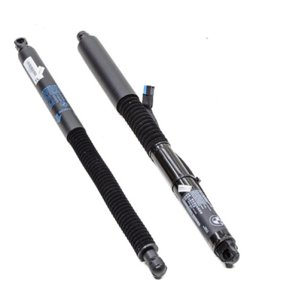 Par Amortecedor Tampa Traseira Bmw X3 G01 252cv 2018 7397322