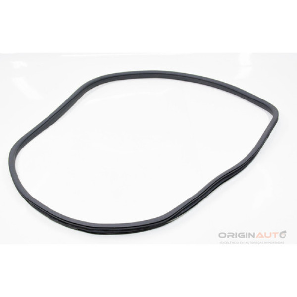 Borracha Porta Dianteira Esquerda Mercedes C200 W205 2019 A2