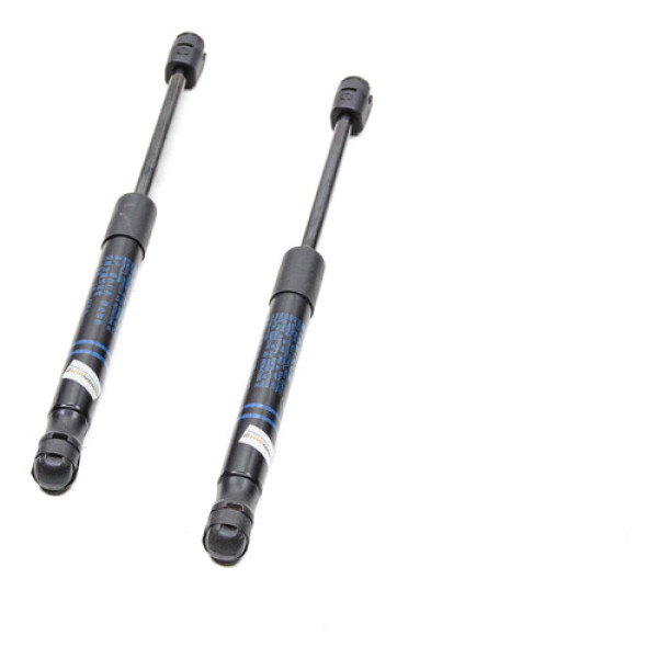 Par Amortecedor Capô Bmw X3 G01 252cv 2018 7397493