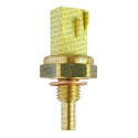 Plug Eletrônico Temperatura Motor Ap Ford Vw 1.6 1.8 8v Mte
