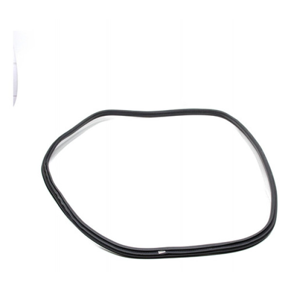 Borracha Porta Traseir Esq Bmw X3 G01 252cv 2018 7393449