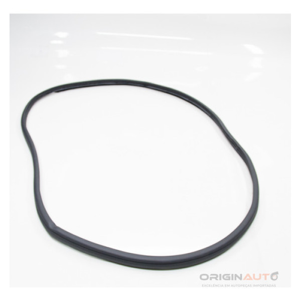 Borracha Porta Diant Esq Mercedes C43 Amg 2018 A2056970051