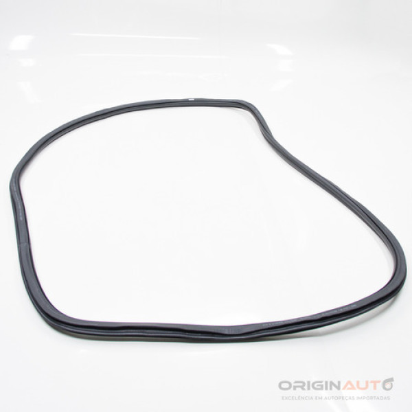 Borracha Porta Dianteira Audi A4 2.0 B9 2018 8w0831721